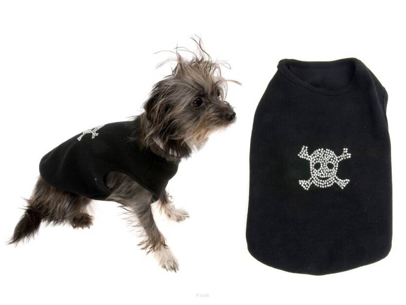 Bluza dla psa z motywem czaszki czarna WANTED